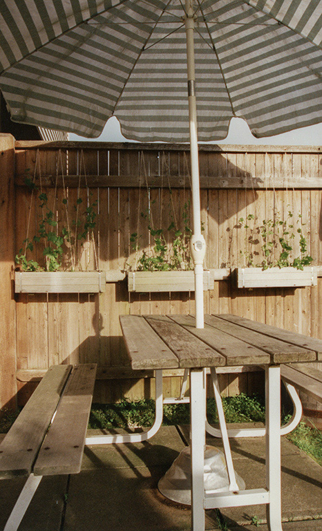 %_tempFileName01_1_252w%