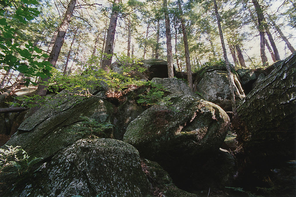 %_tempFileName01_2_295w%