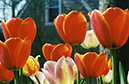 %_tempFileName2002b_091w%