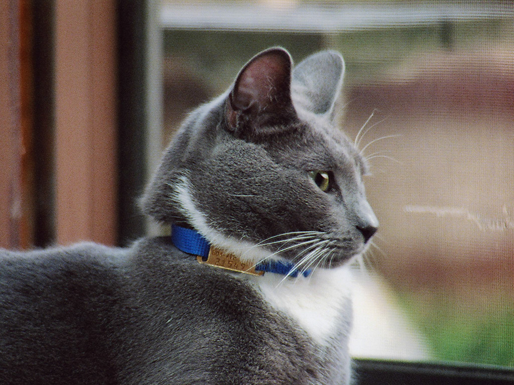 %_tempFileName2002b_019w%