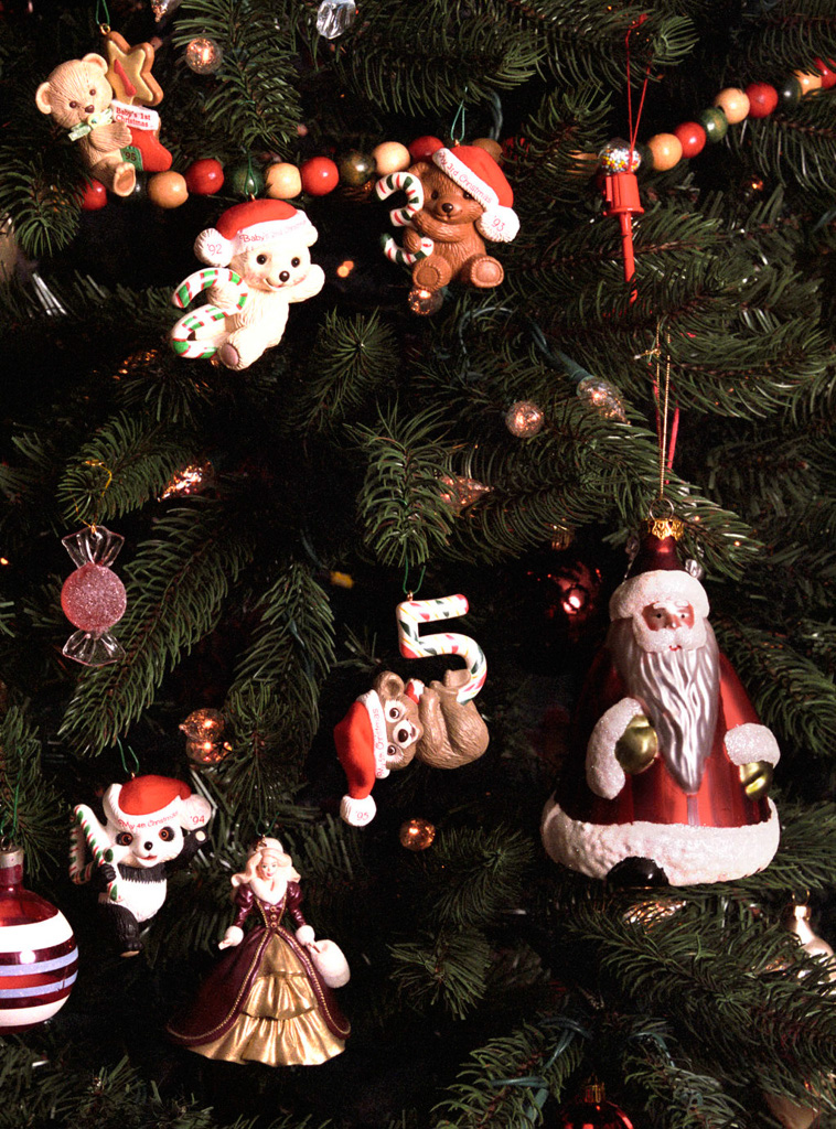 %_tempFileNamexmas%20at%20home_2009%20%20%2054%