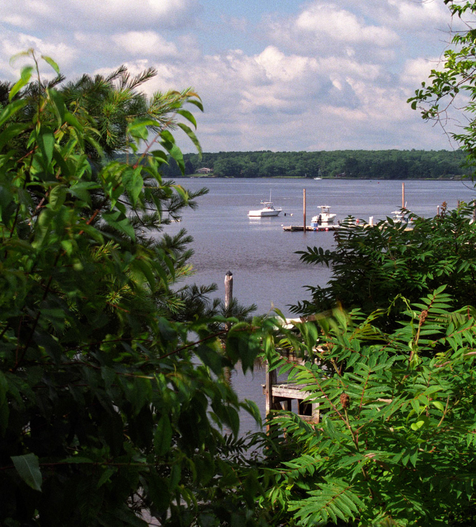 %_tempFileNameLittle%20Bay%