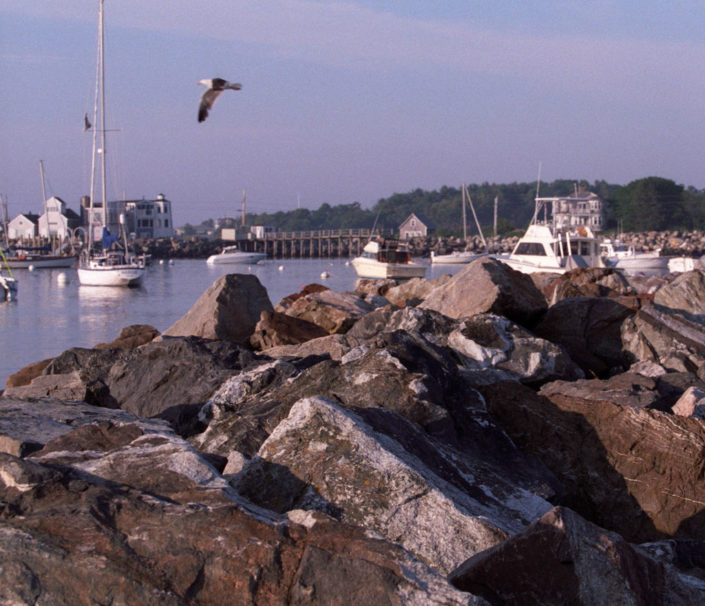 %_tempFileNameRye%20Harbor%2001%