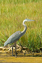%_tempFileName20100821_2297w%