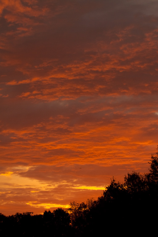 %_tempFileName20101024_3364_HR%