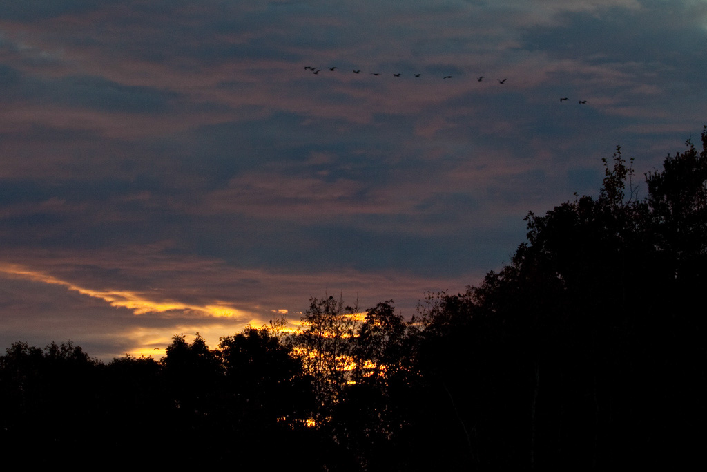 %_tempFileName20101024_3376_HR%