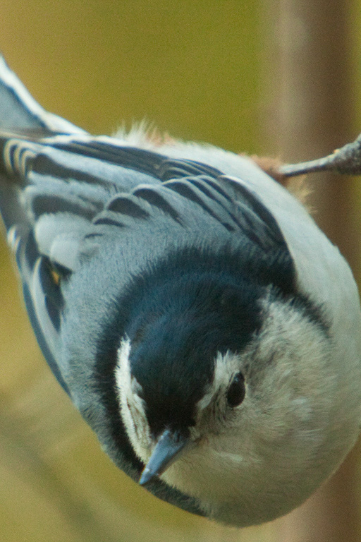 %_tempFileName20101121_3501_HR%