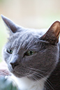 %_tempFileNameJamie--HD%