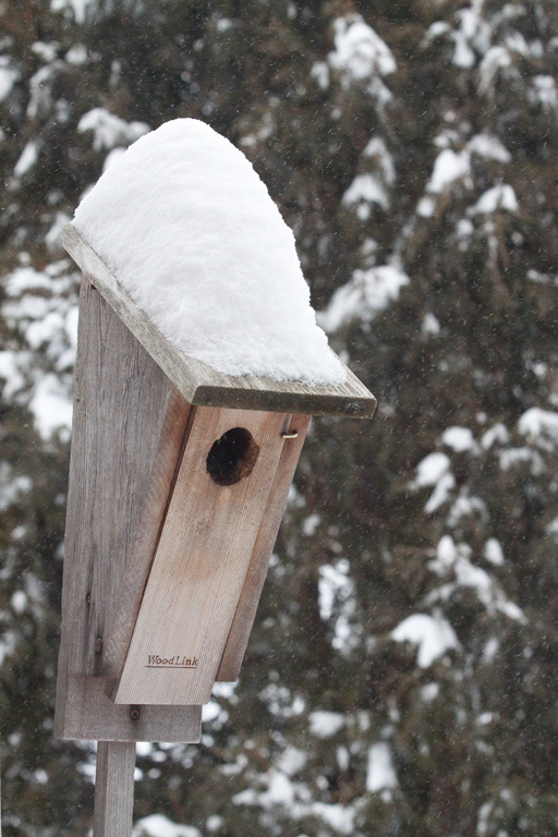 %_tempFileName20110202_4717_HR%