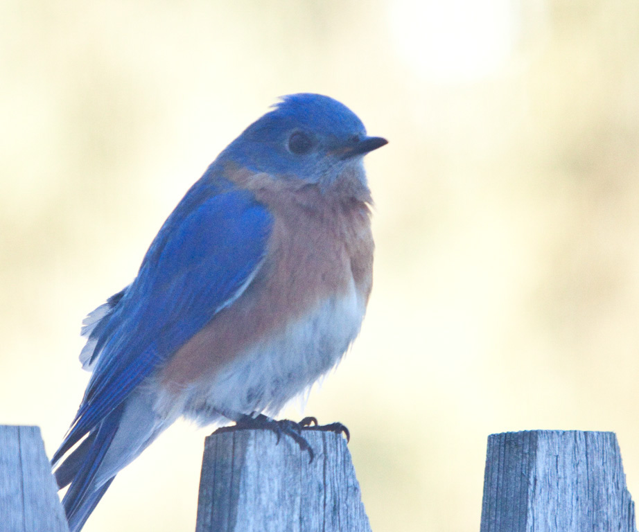 %_tempFileName20110223_4743_HR%