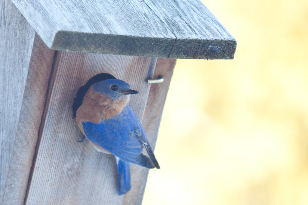 %_tempFileName20110223_4762_HR%