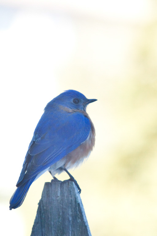 %_tempFileName20110223_4785_HR%