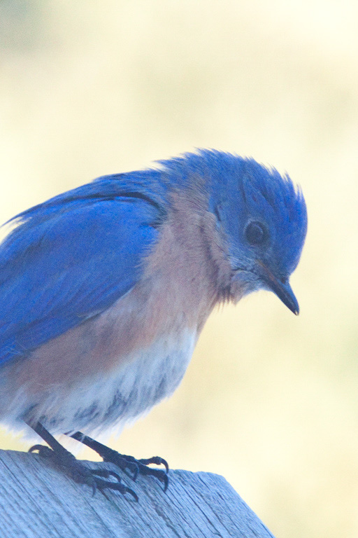 %_tempFileName20110223_4794_HR%