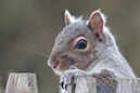 %_tempFileName20110213_4839_HR%