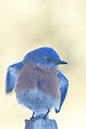 %_tempFileName20110223_4759_HR%