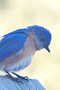 %_tempFileName20110223_4794_HR%