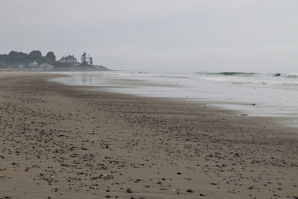 _MG_0342w