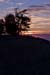 _MG_9964w