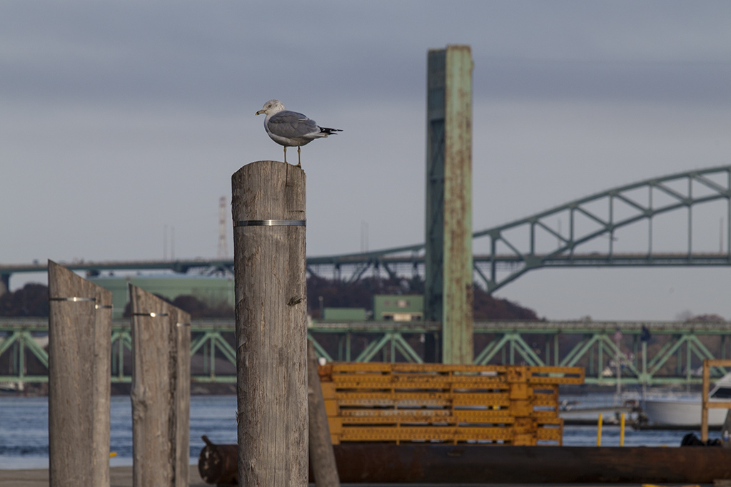 20121027_0191w