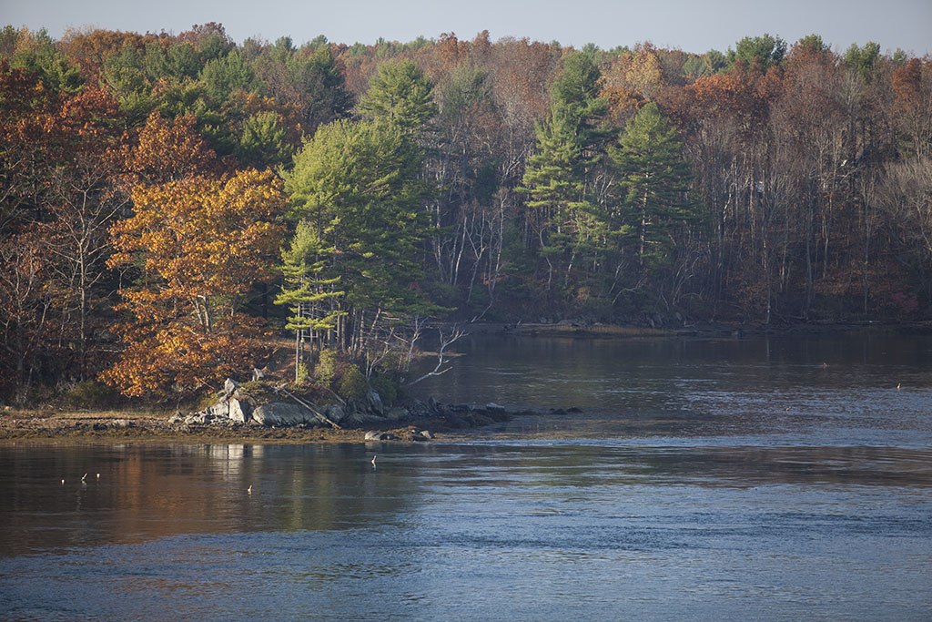 20121027_0198w
