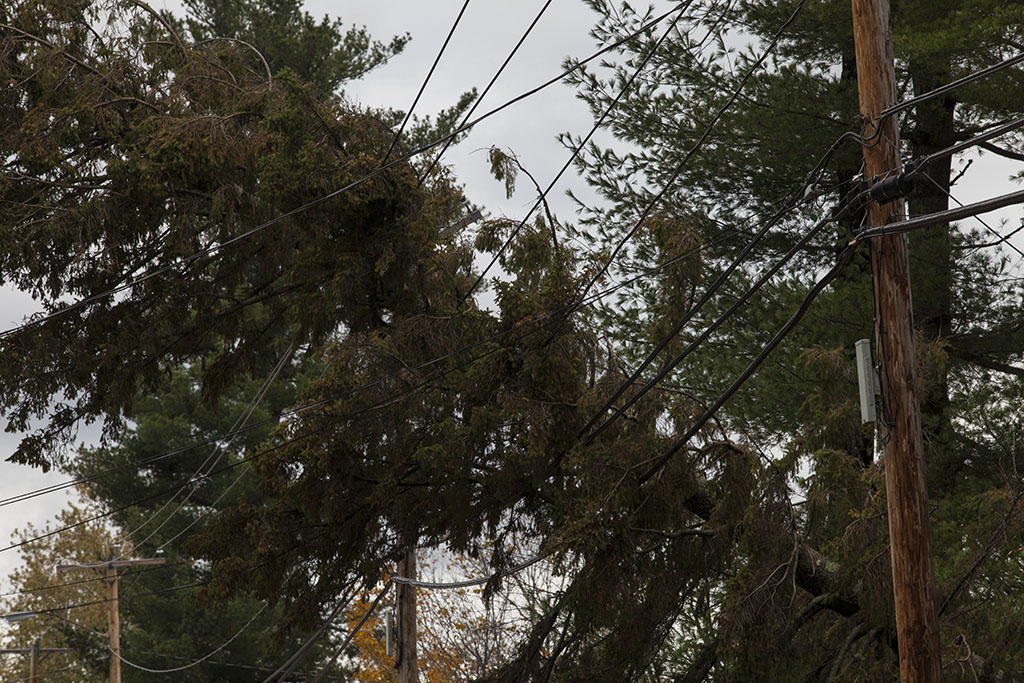 20121031_0290w