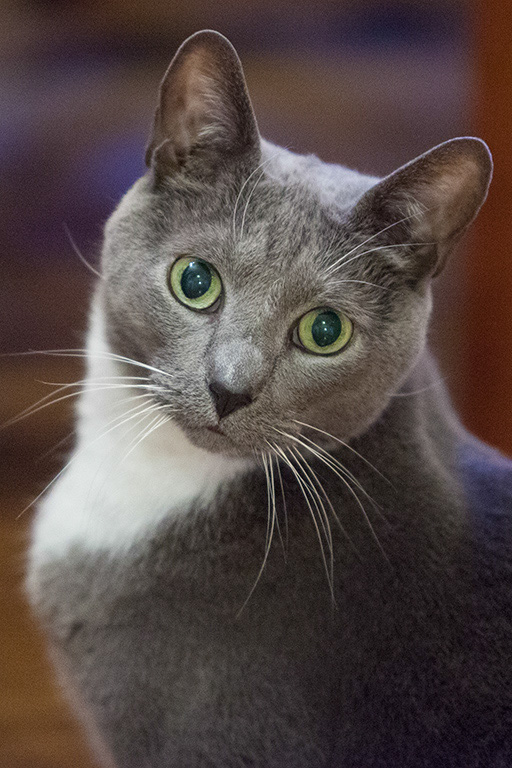 %_tempFileName20121223_1274w%