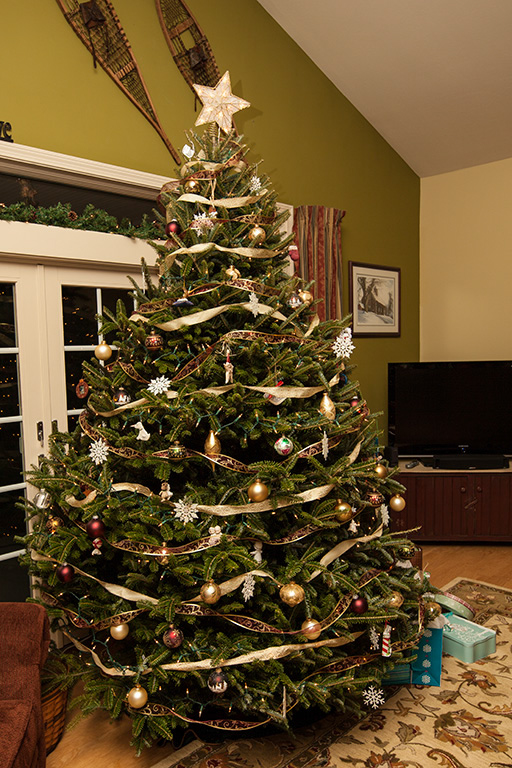 %_tempFileName20121224_1568w%