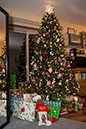 %_tempFileName20121226_1596w%