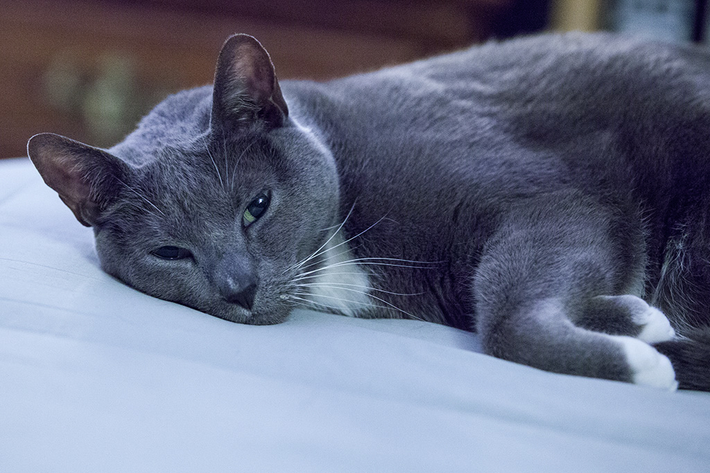%_tempFileName20130411_2652w%