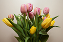 %_tempFileName20130515_3075w%