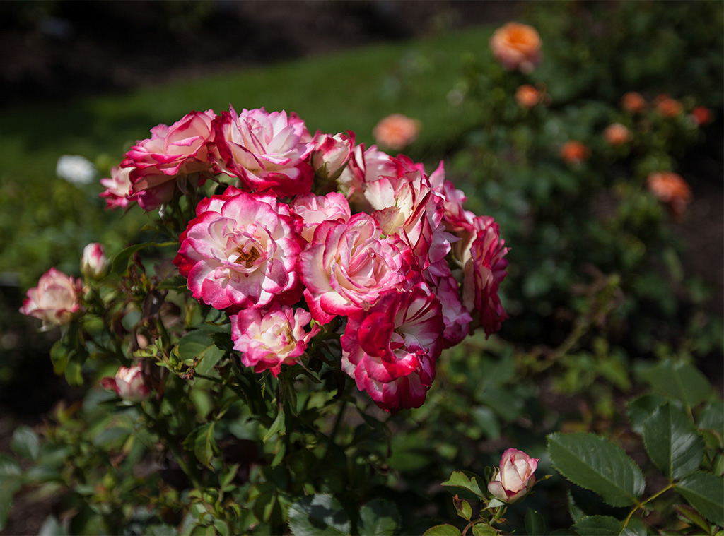 %_tempFileName20130727_5747w%
