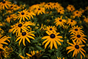 %_tempFileName20130727_5670w%