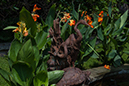 %_tempFileName20130727_5690w%