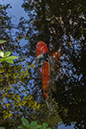 %_tempFileName20130727_5700w%