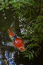 %_tempFileName20130727_5714w%