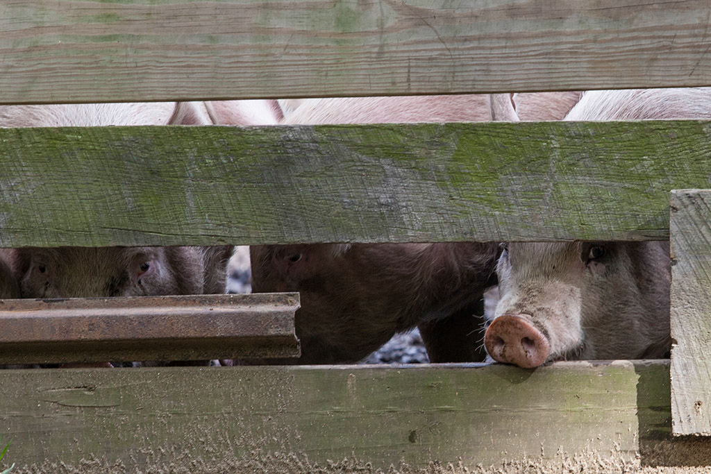 %_tempFileName20130526_3681w%