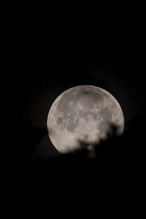%_tempFileName20130624_3994w%