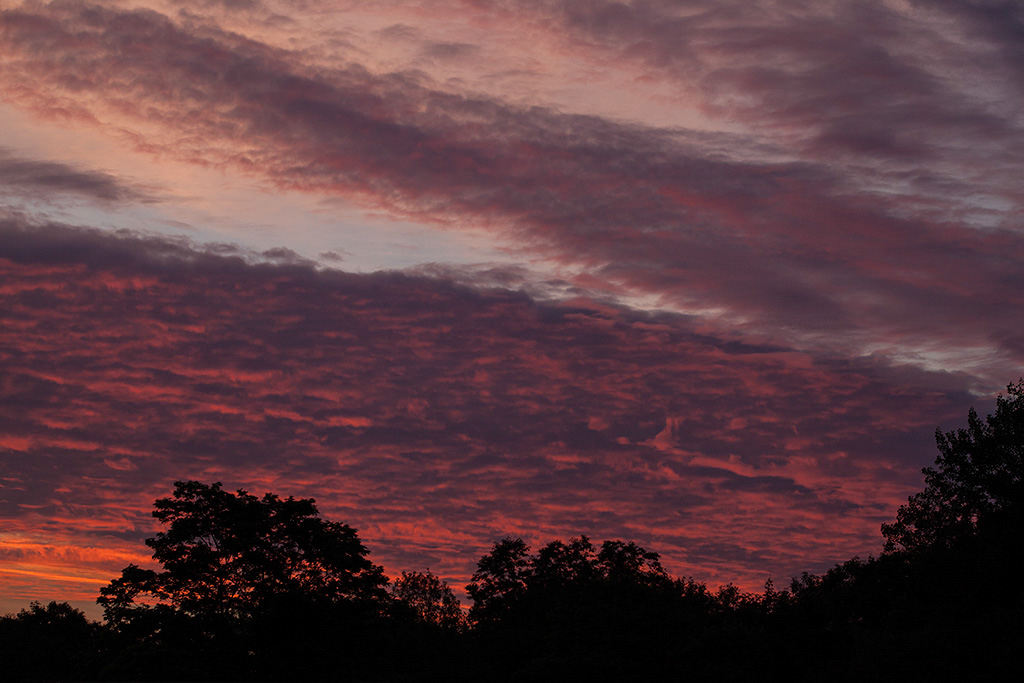%_tempFileName20130715_4274w%