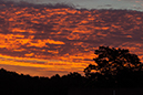%_tempFileName20130715_4279w%