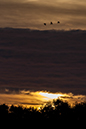 %_tempFileName20130715_4314w%