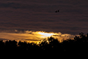 %_tempFileName20130715_4316w%