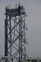 %_tempFileName20130818_6190w%