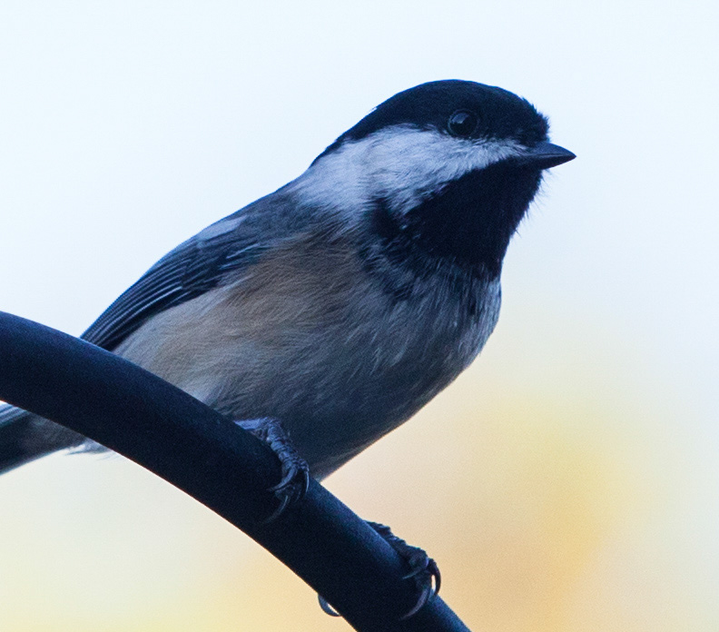 %_tempFileName20131013_6414w%