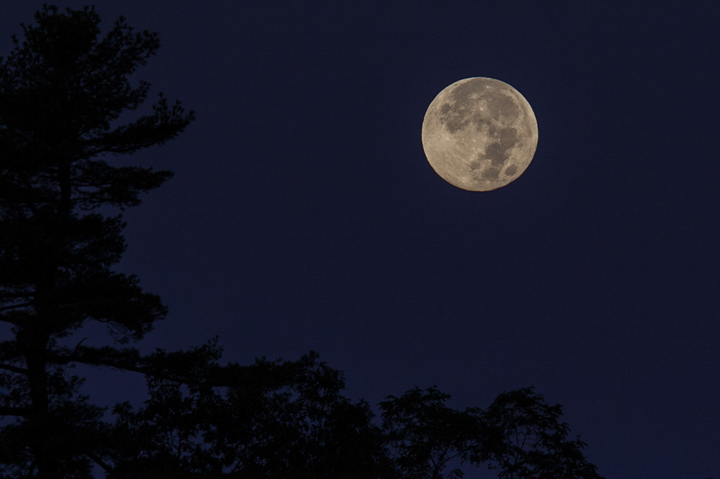 %_tempFileName20131019_6558w%