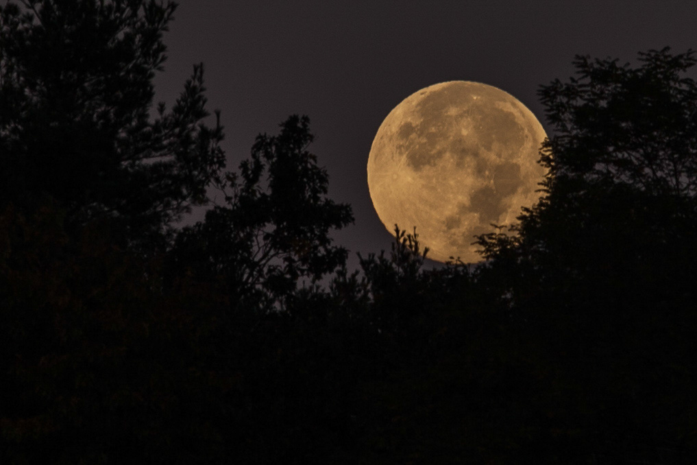 %_tempFileName20131019_6564w%