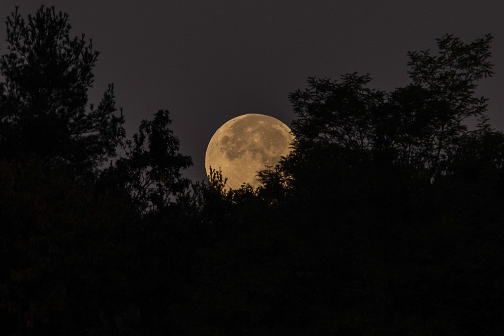 %_tempFileName20131019_6566w%