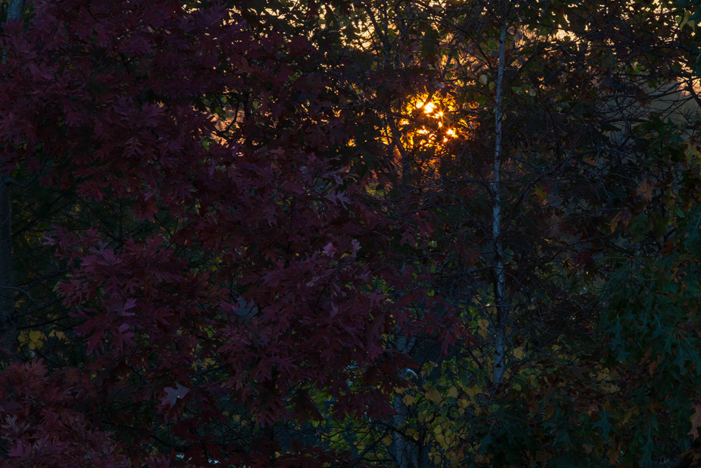 %_tempFileName20131019_6578w%