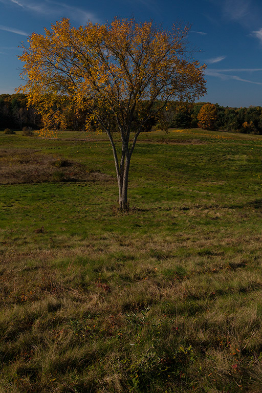 %_tempFileName20131019_6615w%