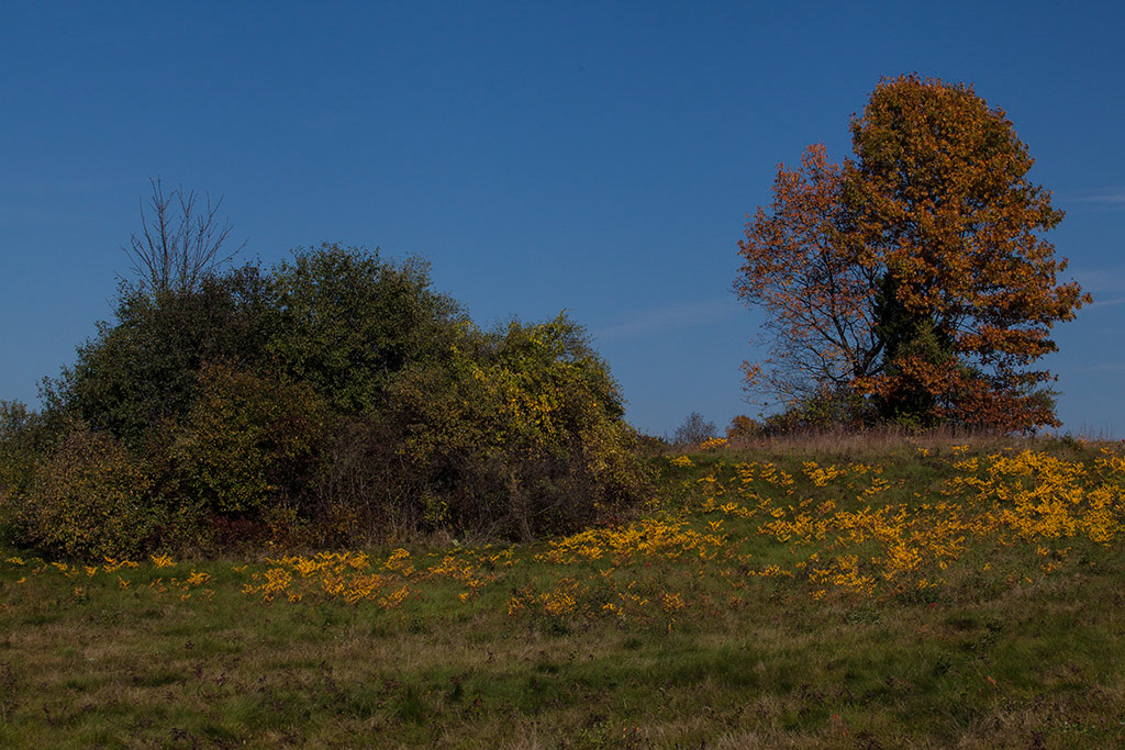 %_tempFileName20131019_6656w%