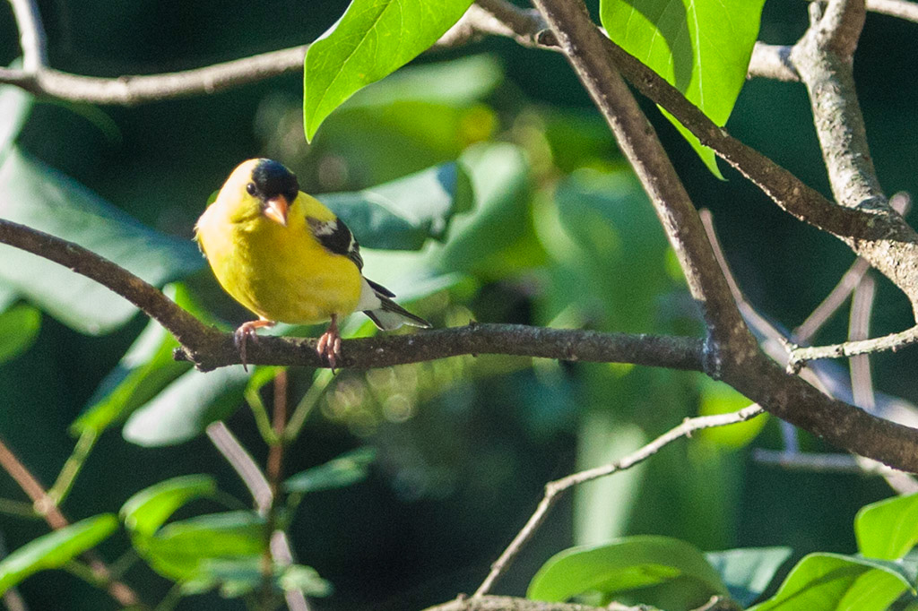 %_tempFileName20140712_8054w%